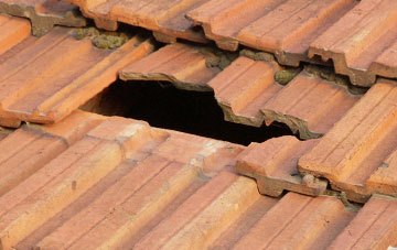 roof repair Black Muir, Fife